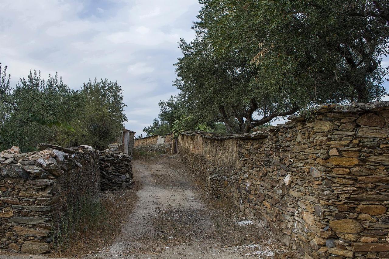 Santiago Del Campo Casa Rural Julio Vegas מראה חיצוני תמונה